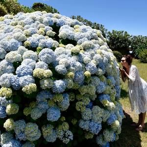 Meet your Posher, Ann-marie